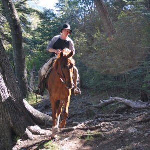 Cabalgatas Los Baqueanos