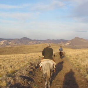 Cabalgatas La Fragua