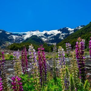 Cerro Tronador y Ventisquero Negro
